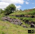 Quaderkalk Stbr. Luetzelbruch bei Lindelbach nahe Wuerzburg, Bayern, (D) - 18. Mai 2023 (9).JPG